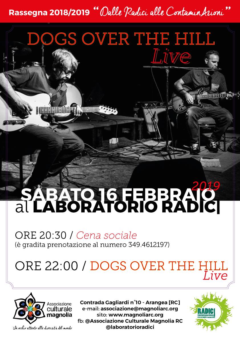 Dogs Over The Hill Live